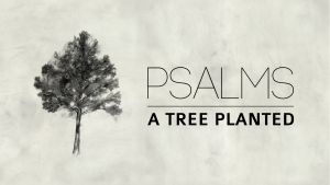 The Pilgrim&#039;s Psalm