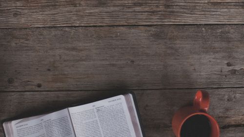 A Beginner&#039;s Guide to Discipleship